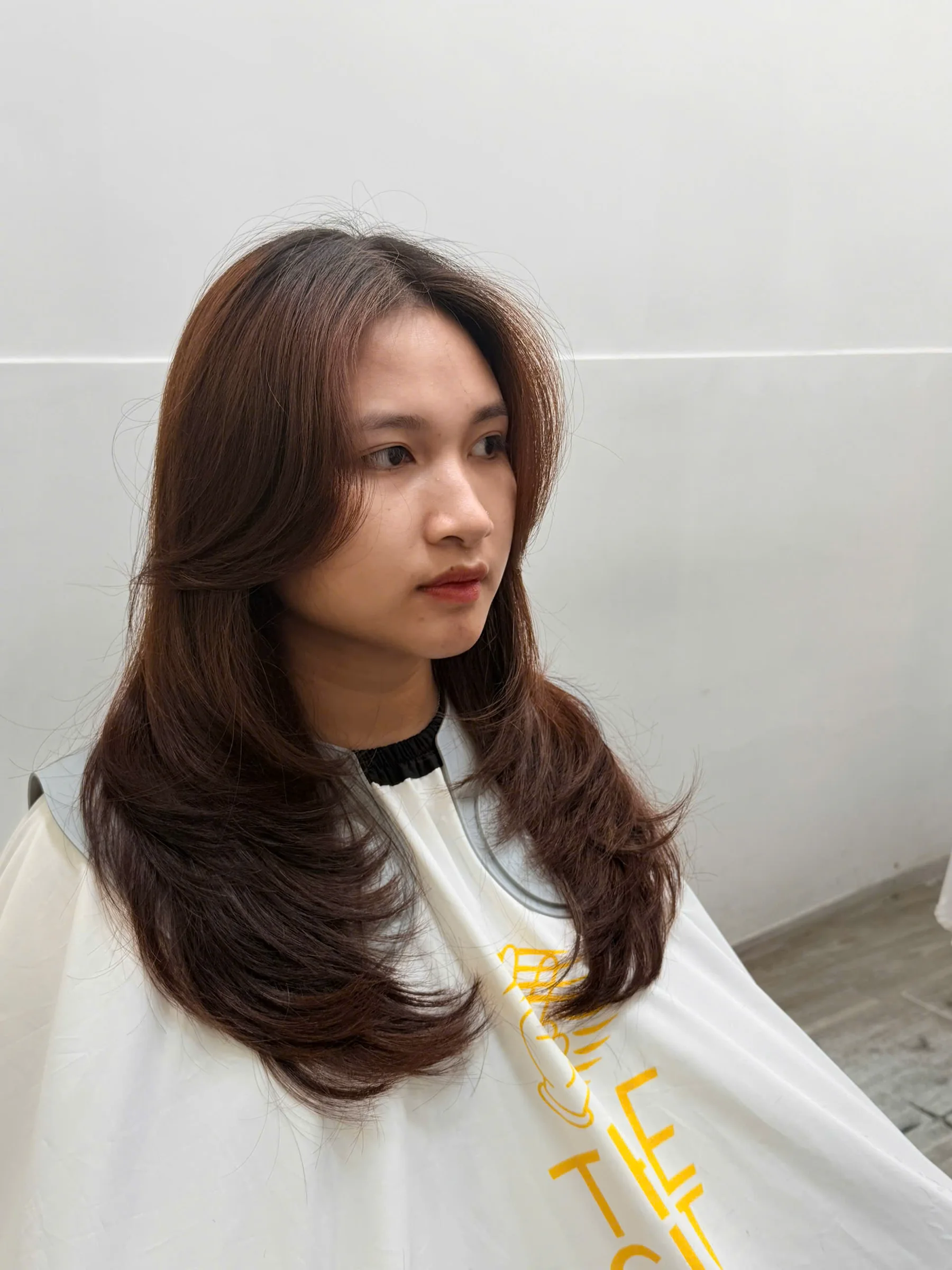Mái tóc nữ layer dài màu nâu được tạo kiểu tại The Cut Station
